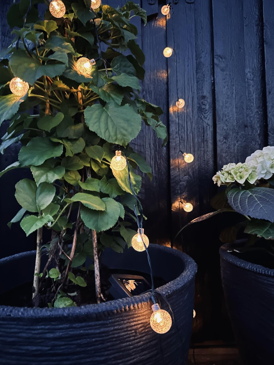 Łańcuch świetlny Bella z energią słoneczną - 50 LED